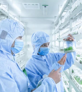 茄子视频成人在线观看技术