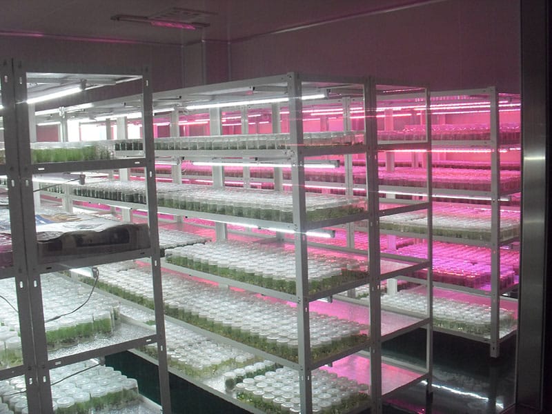 蓝莓茄子视频成人在线观看室及仪器设备