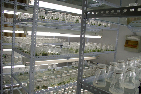 茄子视频成人在线观看室受污染的原因以及有哪些污染源