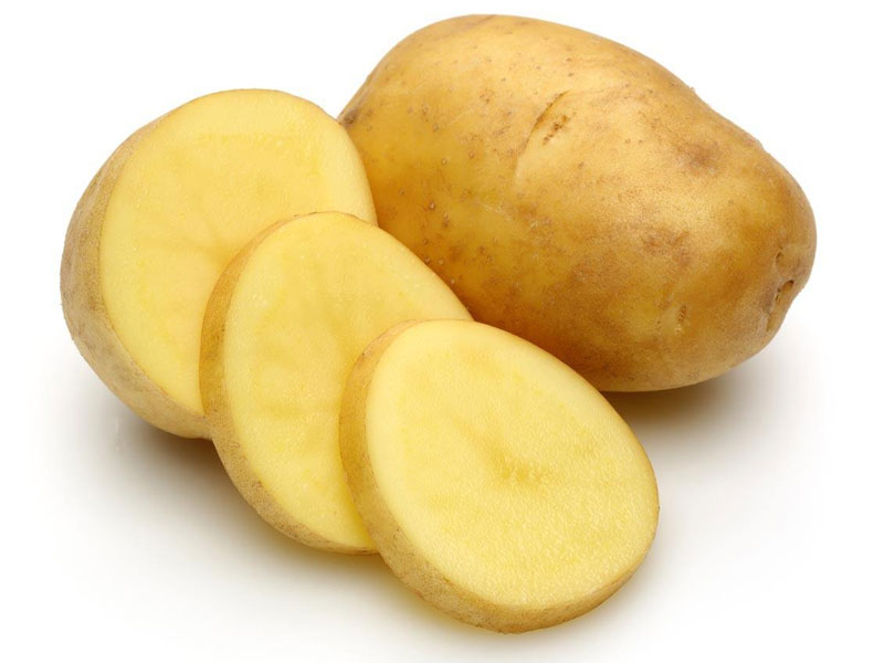 马铃薯茄子视频成人在线观看室及仪器设备