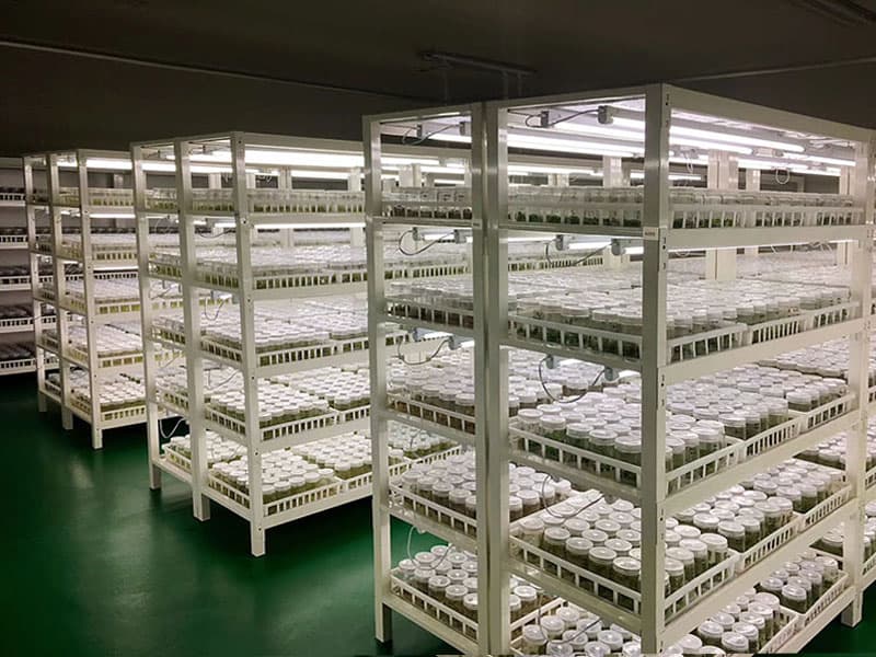 框架式茄子视频成人在线观看架