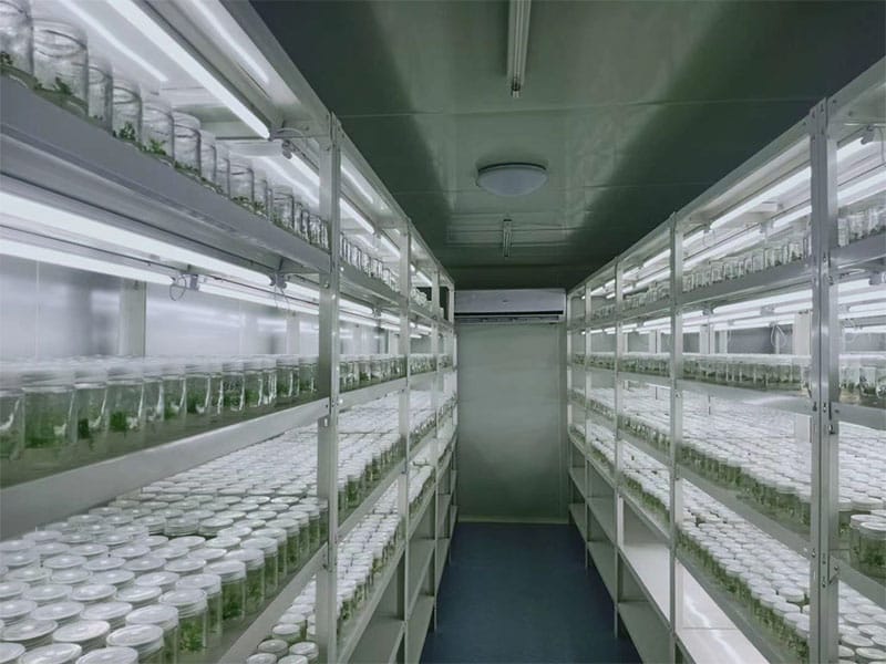 茄子视频成人在线观看  茄子视频成人在线观看架