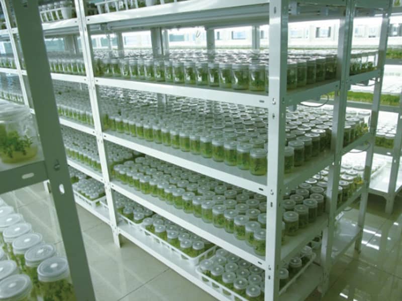 茄子视频成人在线观看  茄子视频成人在线观看架