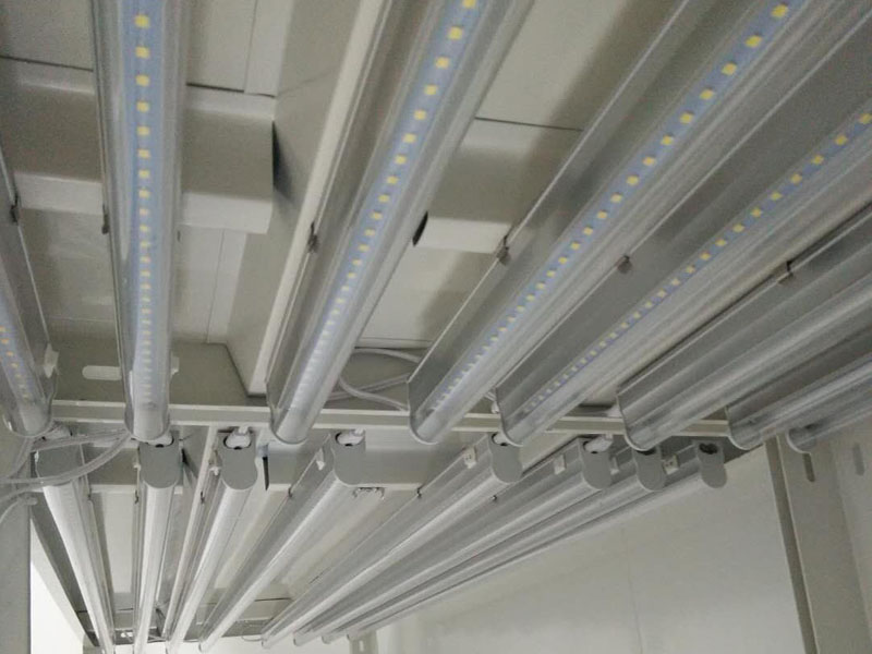 茄子视频成人在线观看灯