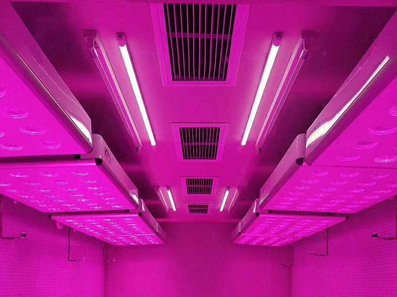 茄子视频成人在线观看灯