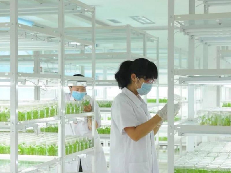 茄子视频成人在线观看  茄子视频成人在线观看架