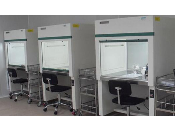 树莓茄子视频成人在线观看苗移栽技术