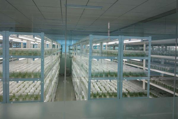 茄子视频成人在线观看室应具备哪些条件