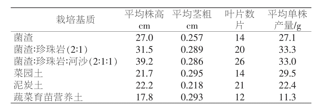 黄精茄子视频成人在线观看苗移栽技术研究