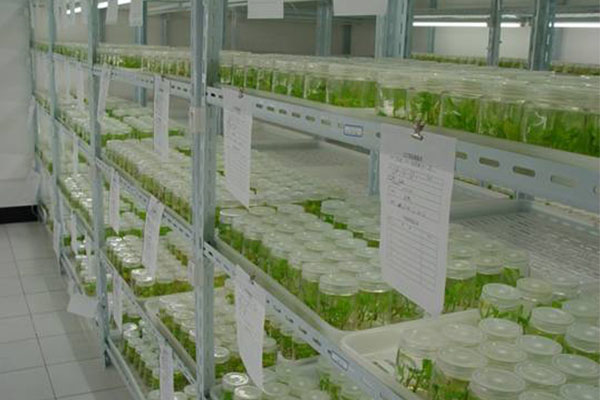 茄子视频成人在线观看室不同的地方消毒方法是怎样的