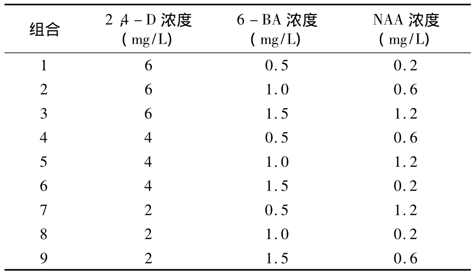 柳枝稷种子茄子视频成人在线观看快繁技术