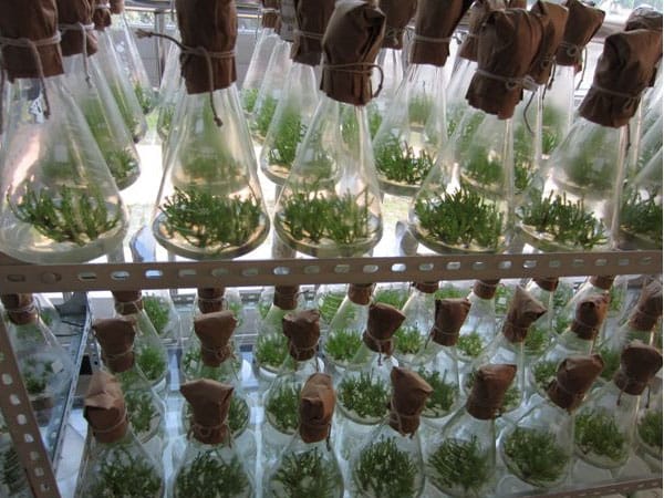 茄子视频成人在线观看生产中常见的问题及解决方法