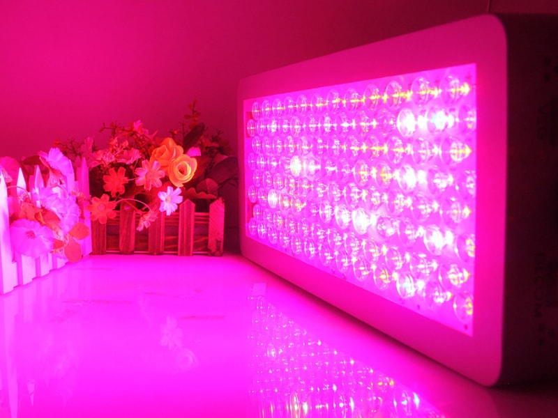 茄子视频成人在线观看灯