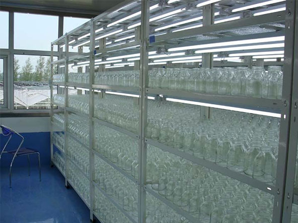 茄子视频成人在线观看