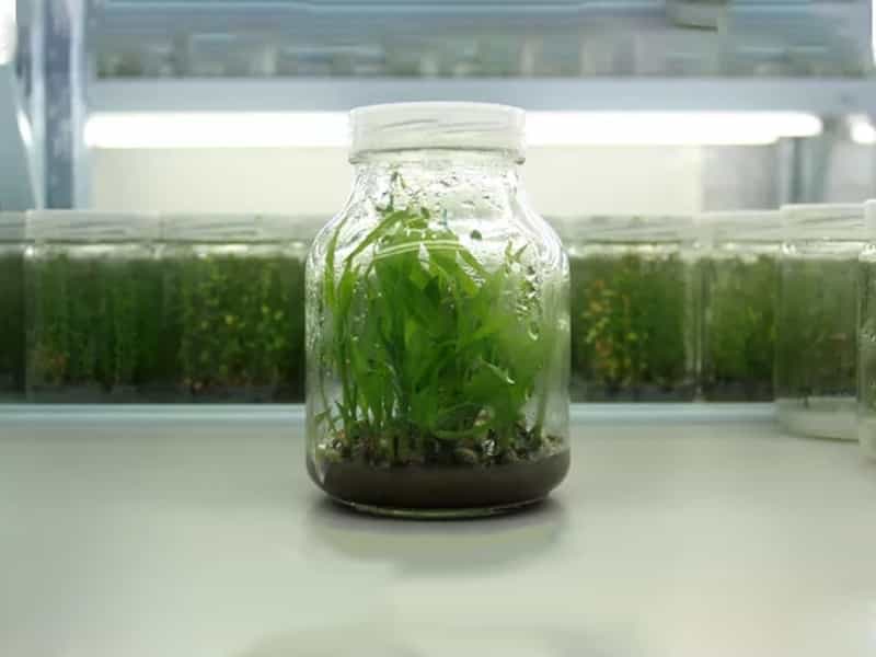 茄子视频成人在线观看瓶