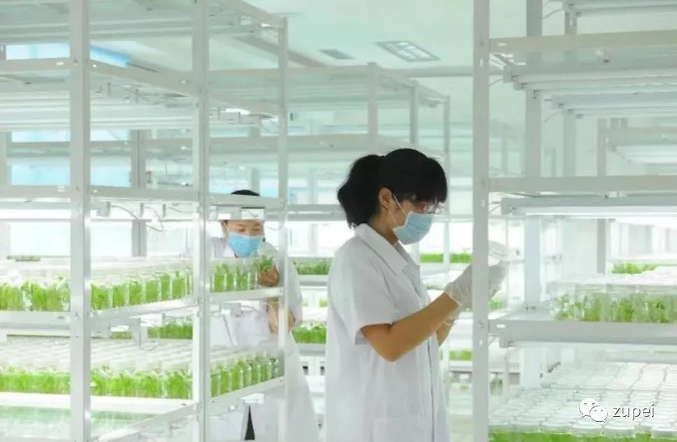 茄子视频成人在线观看室生产规模如何确定