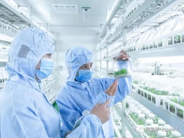 茄子视频成人在线观看室建设之前应该做哪些准备？