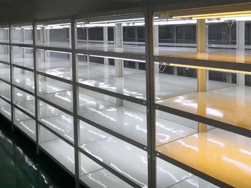 茄子视频成人在线观看架