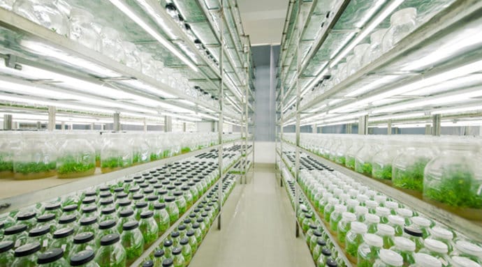 茄子视频成人在线观看  茄子视频成人在线观看架