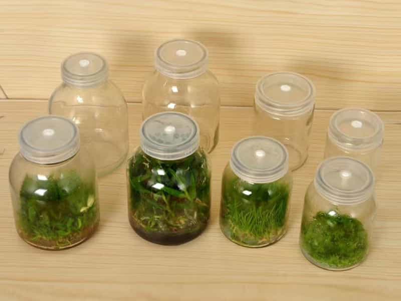 茄子视频成人在线观看瓶