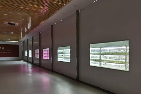 茄子视频成人在线观看  茄子视频成人在线观看室