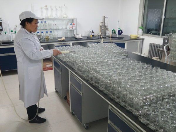 茄子视频成人在线观看室设计