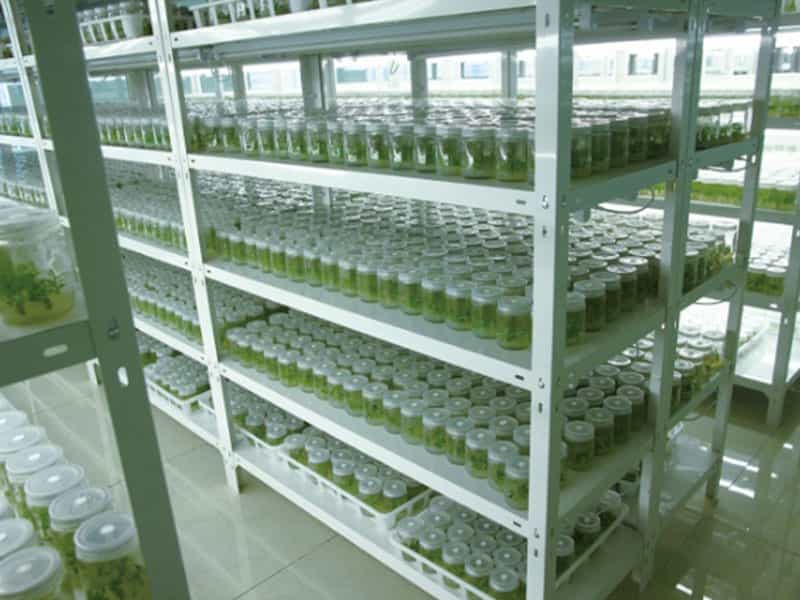 茄子视频成人在线观看  茄子视频成人在线观看设备