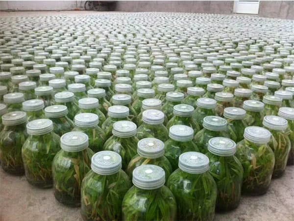 茄子视频成人在线观看  茄子视频成人在线观看瓶