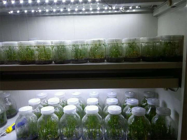 茄子视频成人在线观看室建设应该由几部分组成？标准又是什么？